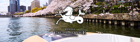 CRUISE SERVICE